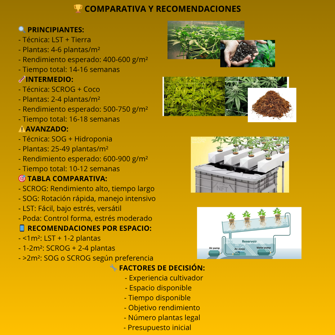 Técnica 8